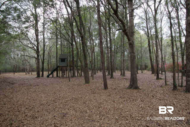 2390 Johnson Road West Mobile, AL 36695 - Photo 25 of 27 wooded 3 acre lot