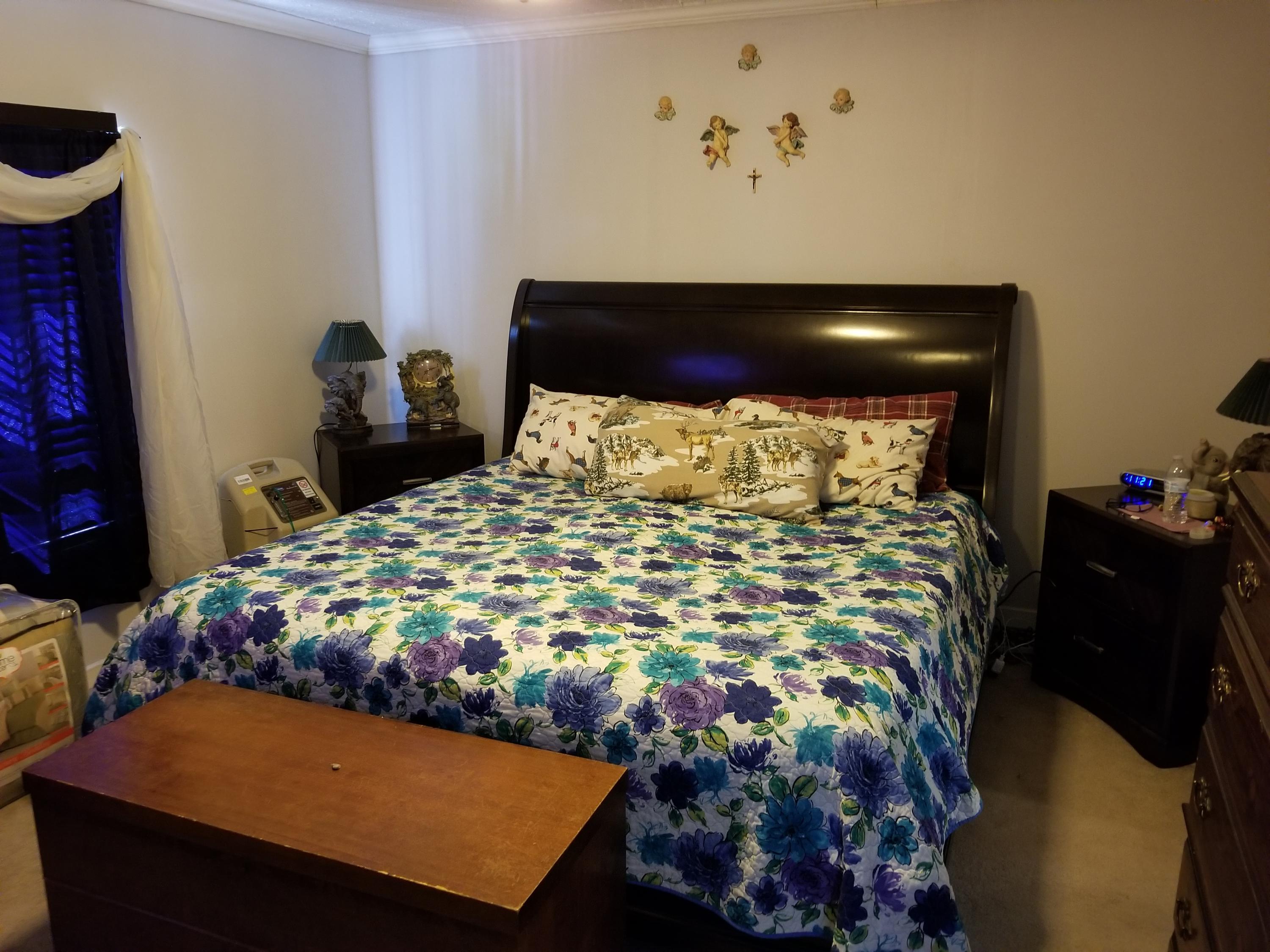 123 Shellmore Trail Summerville, SC 29486 - Photo 12 of 19 20180624_112125