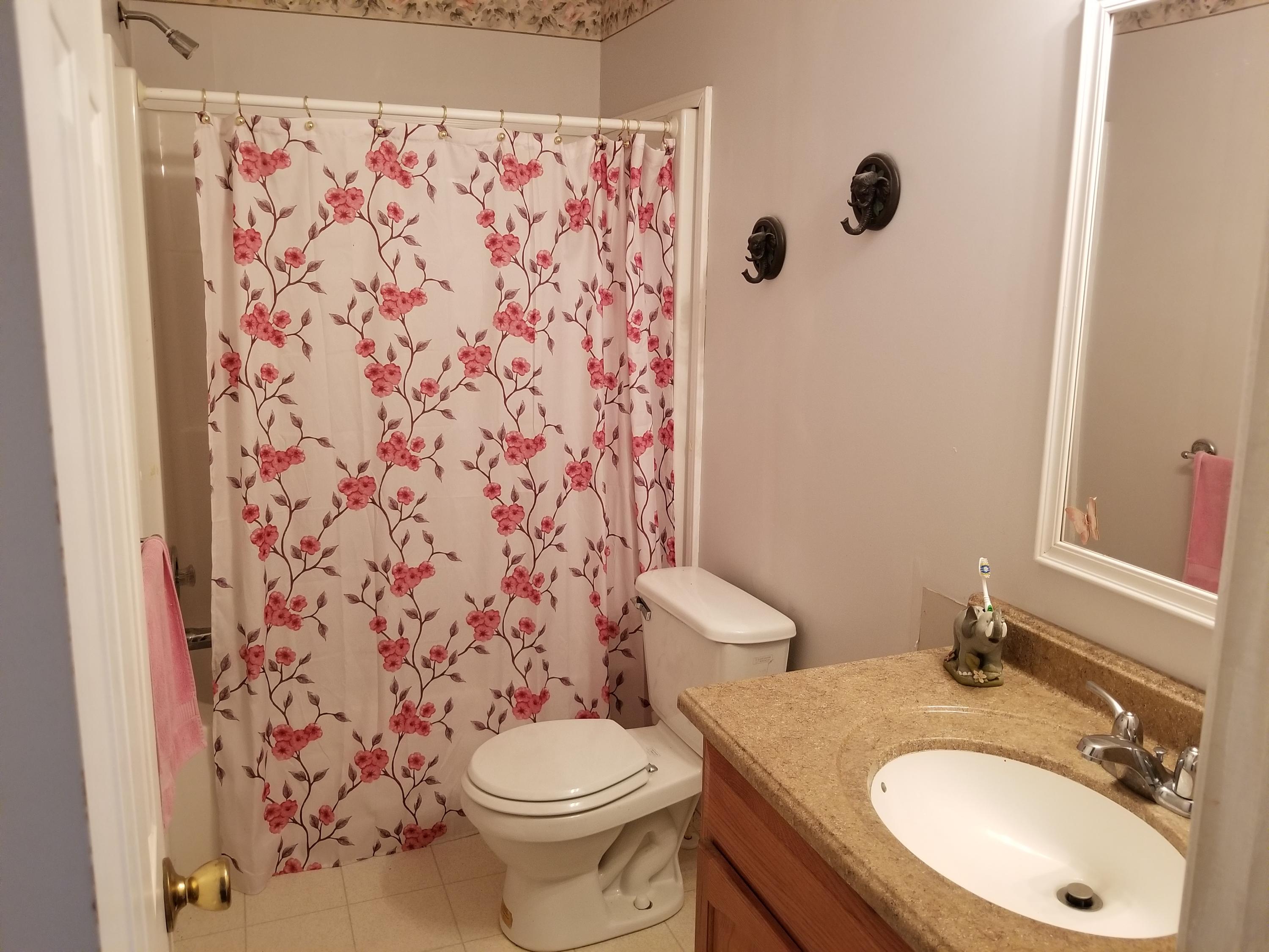 123 Shellmore Trail Summerville, SC 29486 - Photo 18 of 19 20180624_111848