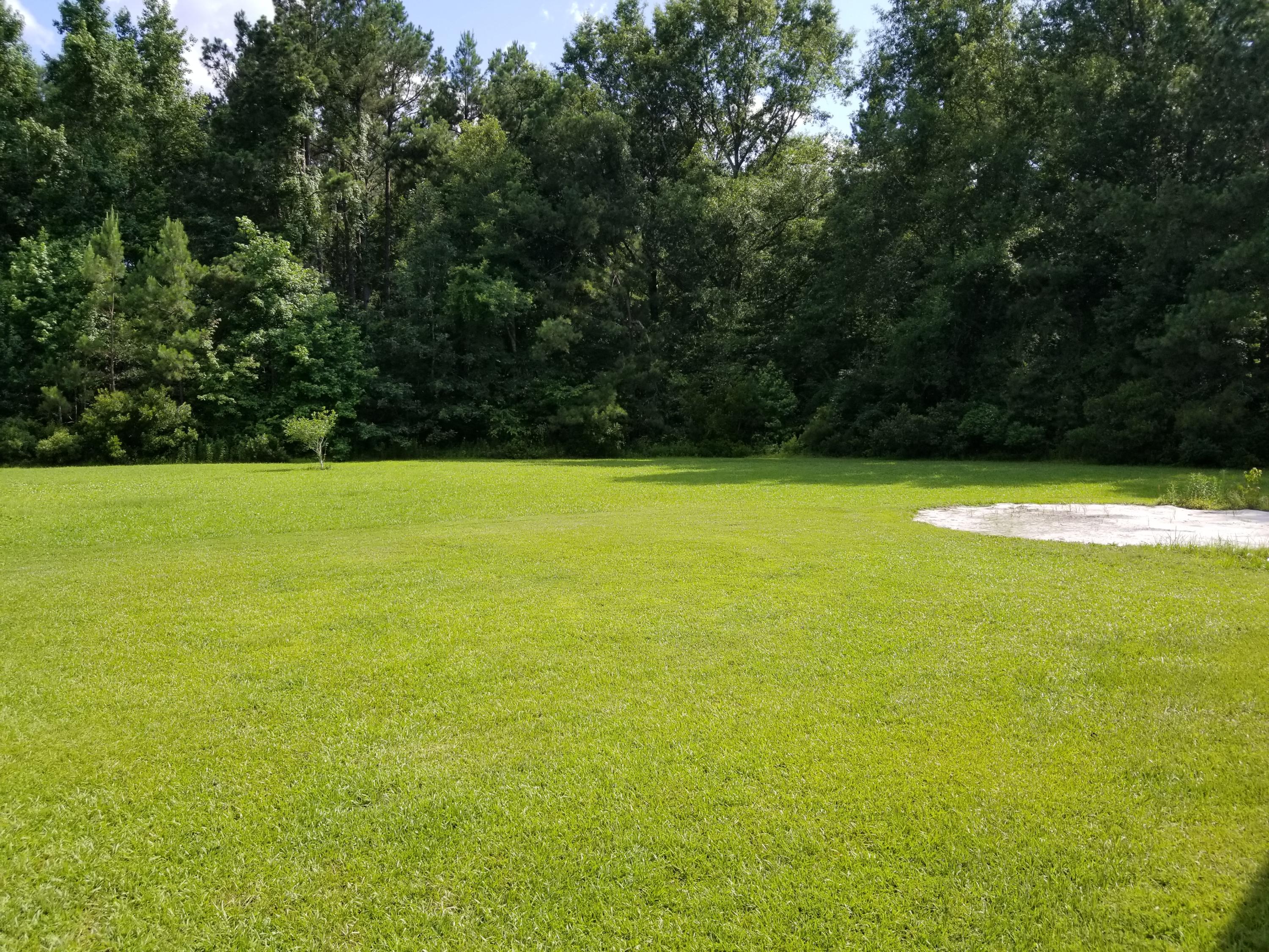 123 Shellmore Trail Summerville, SC 29486 - Photo 3 of 19 20180613_162449
