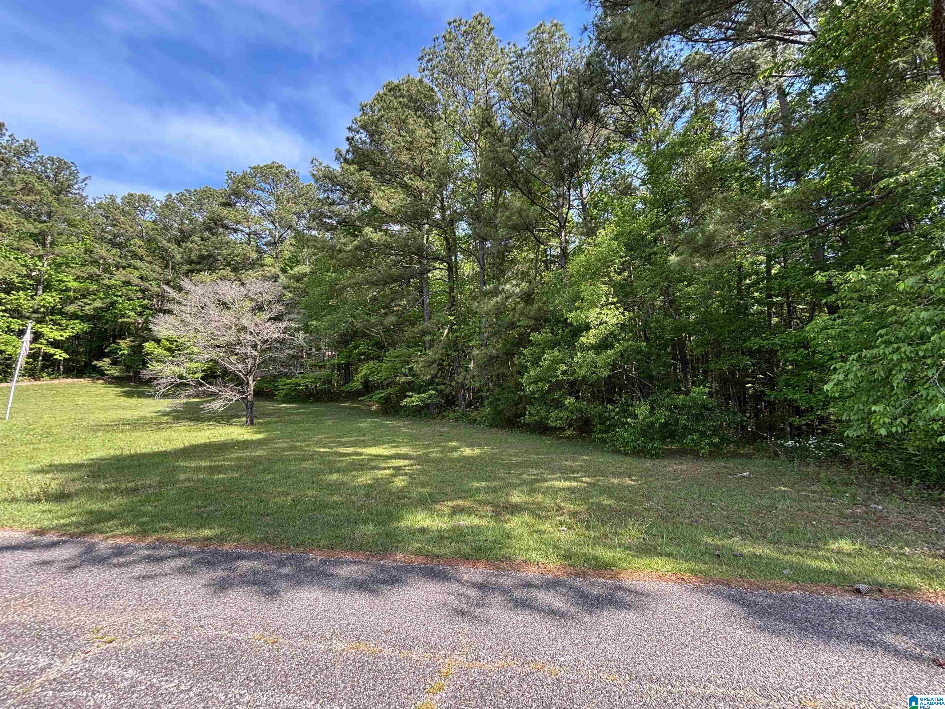 0 Old Sawmill Road, Unit 1 72 / ACRES Moody, AL 35004 - Photo 3 of 6