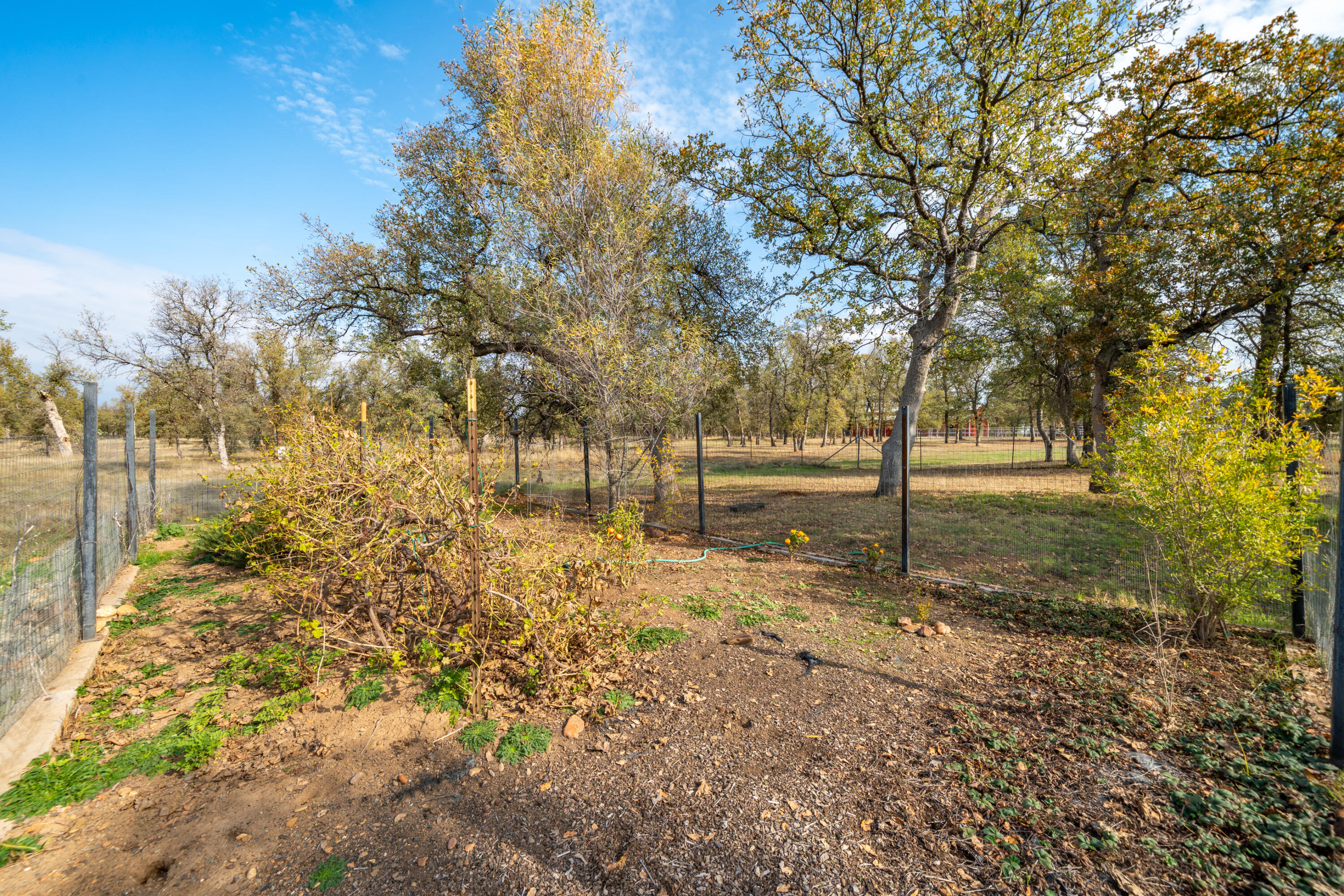 8180 Whispering Oaks Road Redding, CA 96002 - Photo 78 of 100 GARDEN SPOT