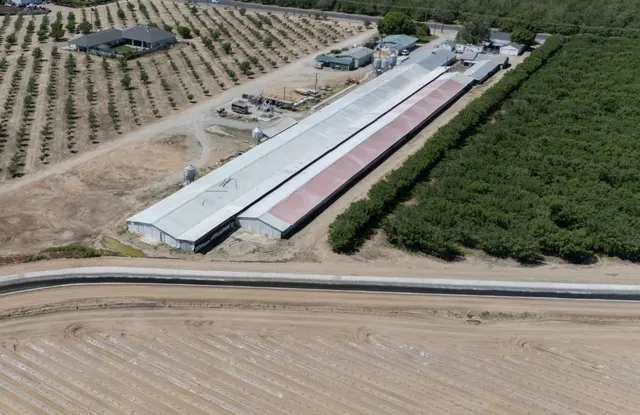 a view of a swimming pool with a yard