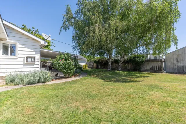 a view of a backyard with large trees