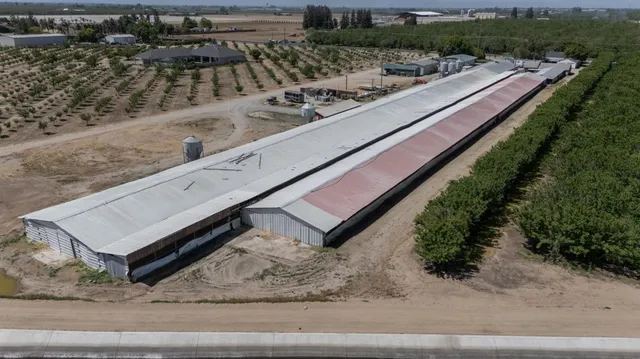 a view of a television and a yard