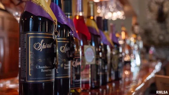 $825,000 | 2211 East 640th Place, Ursa, IL 62376