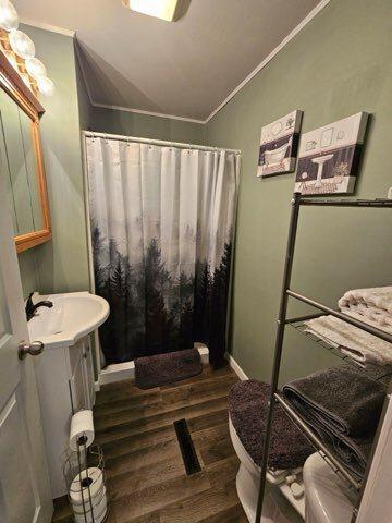 2172 Back Mountain Road Cass, WV 24927 - Photo 7 of 20 Gallery Image 7