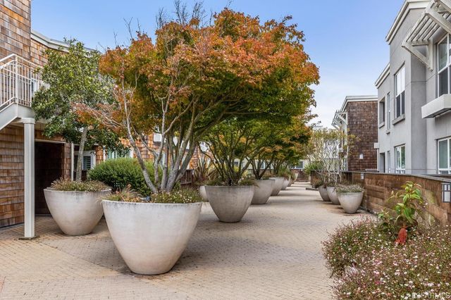 a view of a patio with couches and potted plants