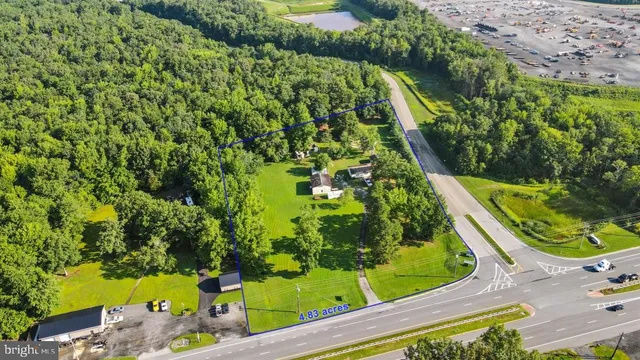 a view of a garden with plants