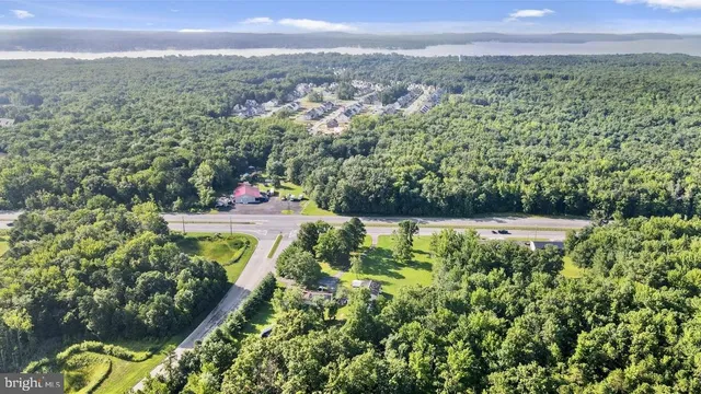 a view of a city with lush green forest