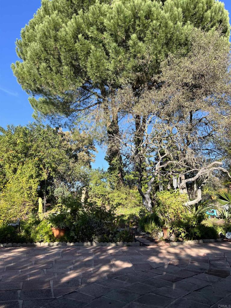 18218 Paradise Mountain Road, Unit SPACE 83 Valley Center, CA 92082 - Photo 32 of 50 a view of a plants with yard