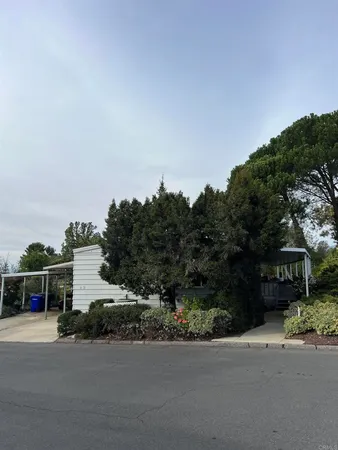 a view of a yard in a garden