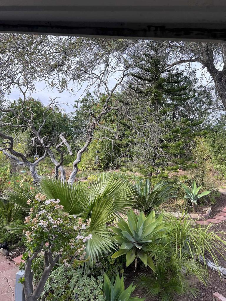 18218 Paradise Mountain Road, Unit SPACE 83 Valley Center, CA 92082 - Photo 42 of 50 a view of a yard in a garden