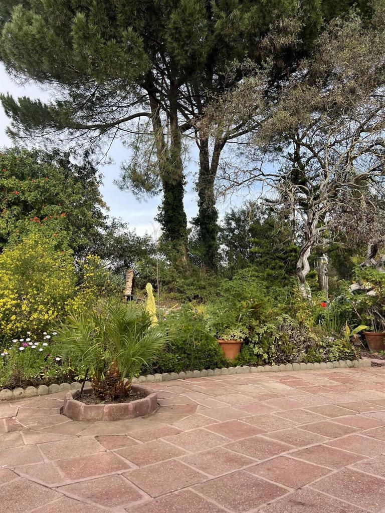18218 Paradise Mountain Road, Unit SPACE 83 Valley Center, CA 92082 - Photo 49 of 50 a view of a yard with plants and large trees
