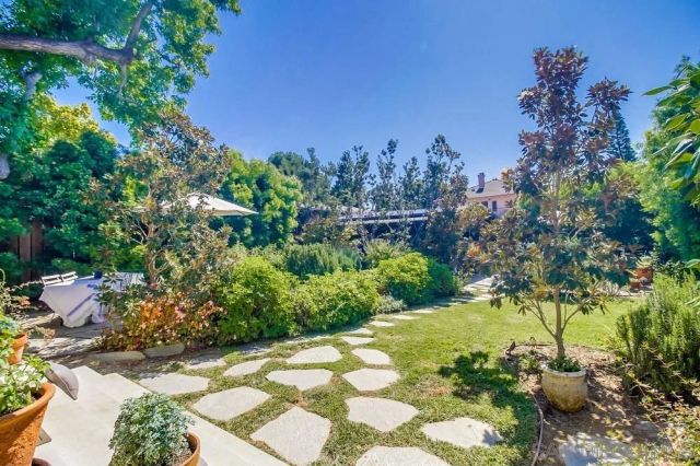 a view of a garden with a bench