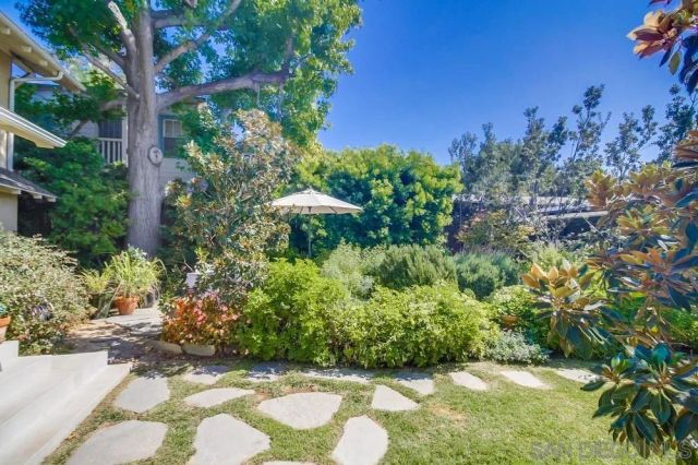 a view of a garden with plants