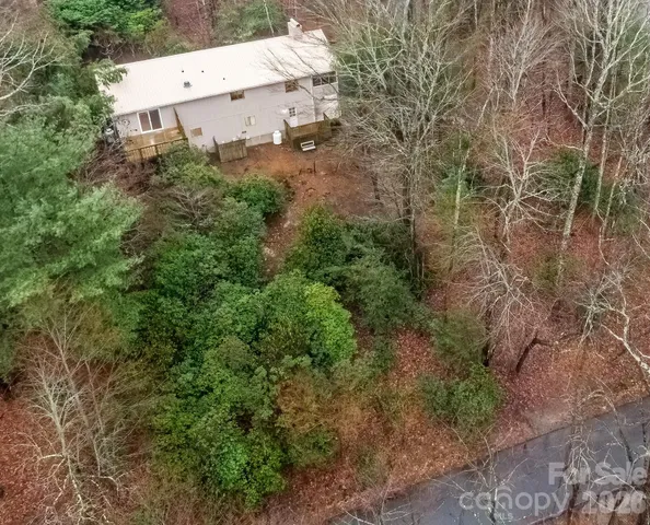 a view of bushes and trees