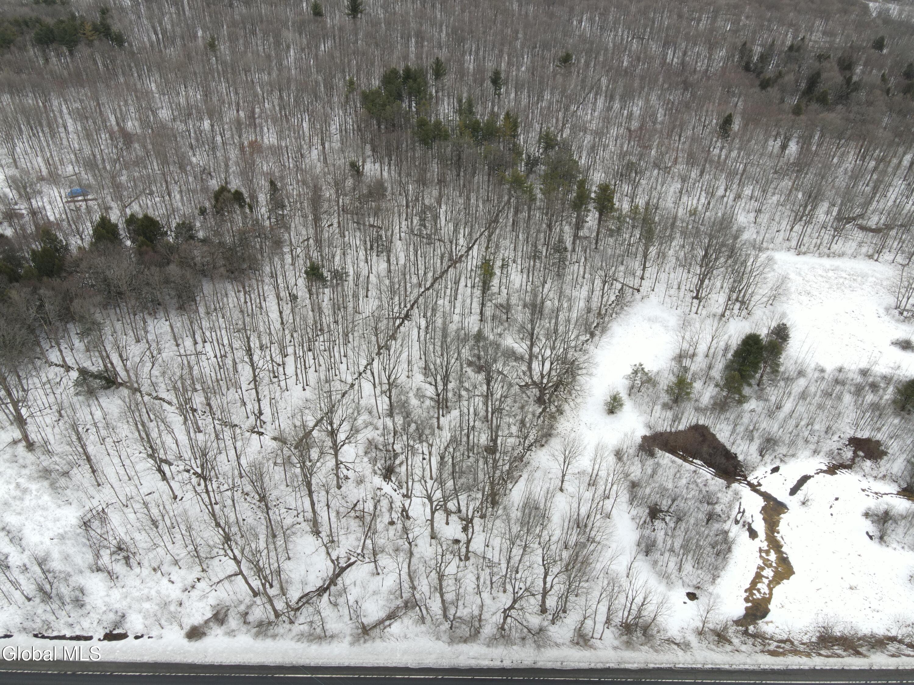 0 Rt 67 Amsterdam, NY 12010 - Photo 4 of 9 4