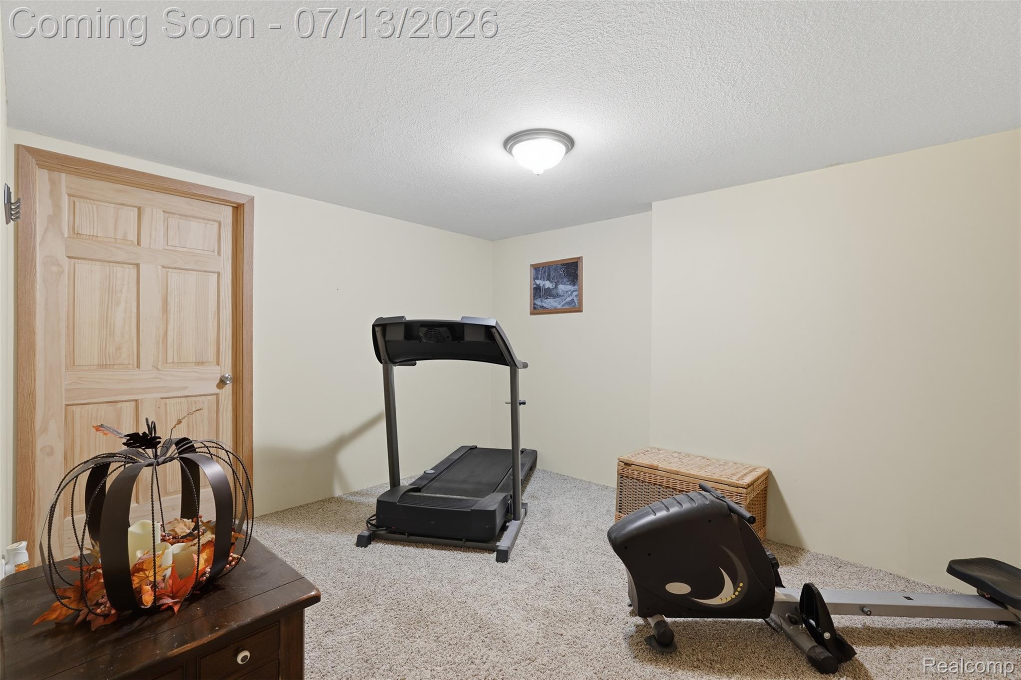 10525 Antcliff Road Brooklyn, MI 49230 - Photo 42 of 80 Lower level bonus room