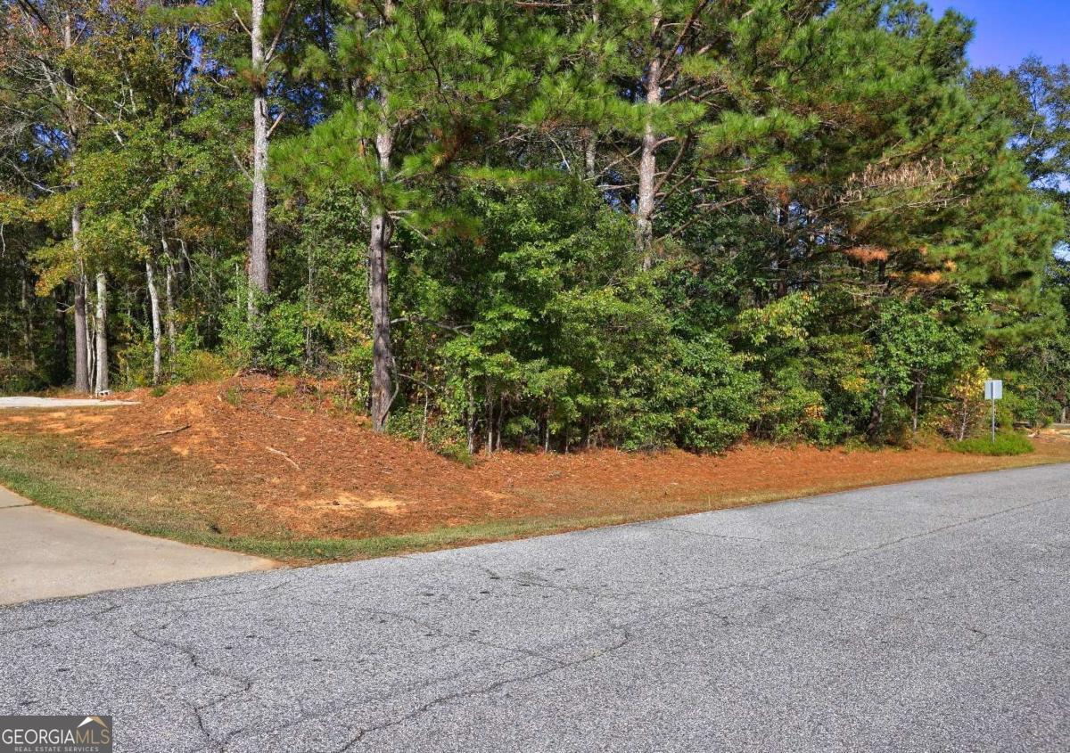 811 Hood Road Fayetteville, GA 30214 - Photo 14 of 15 a view of a yard with plants and trees