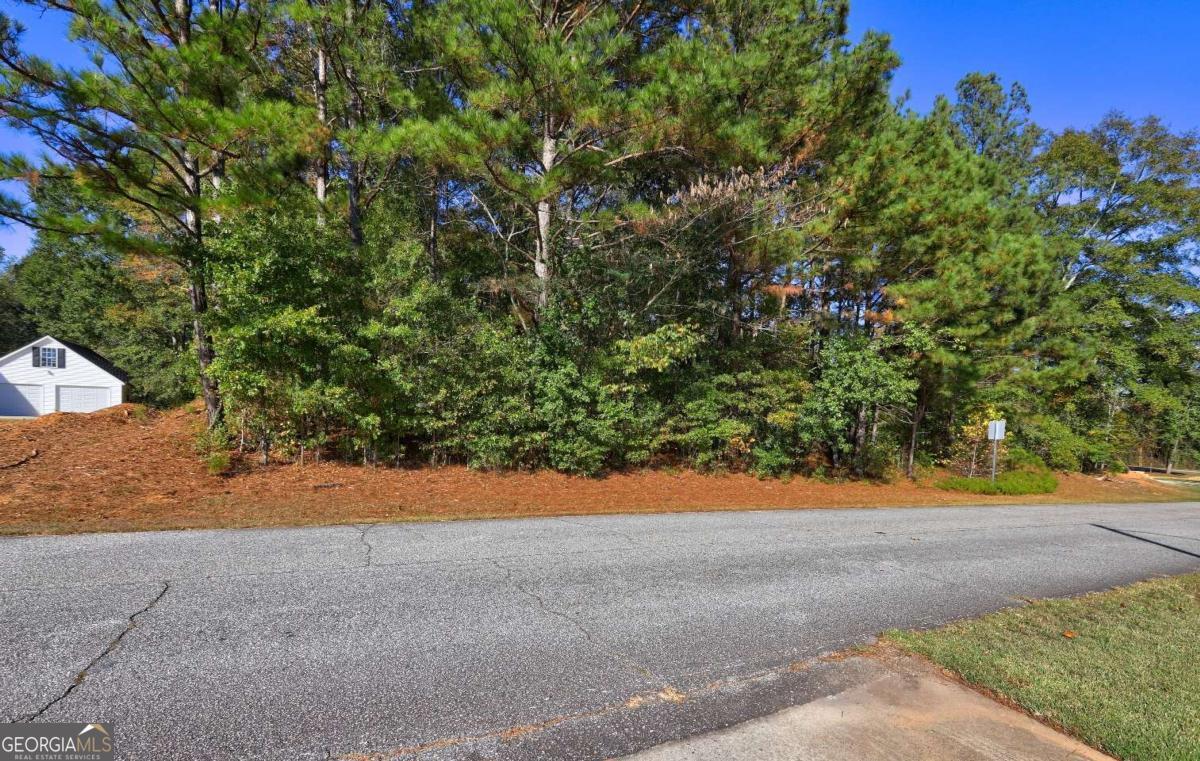 811 Hood Road Fayetteville, GA 30214 - Photo 15 of 15 a view of a yard with a tree