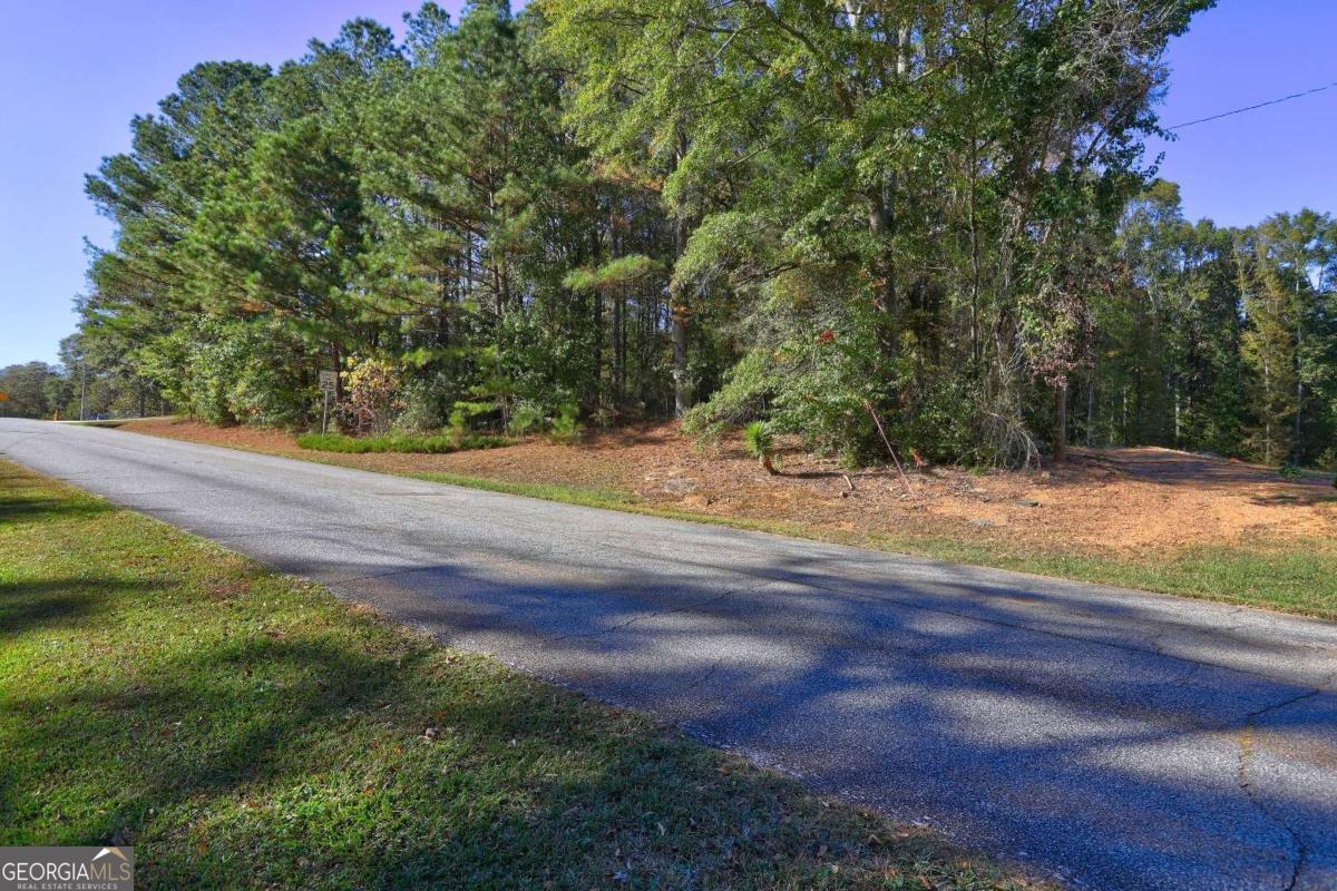 811 Hood Road Fayetteville, GA 30214 - Photo 4 of 15 a view of a yard with plants