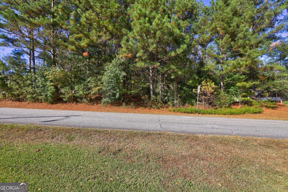 811 Hood Road Fayetteville, GA 30214 - Photo 5 of 15 a view of yard with large trees