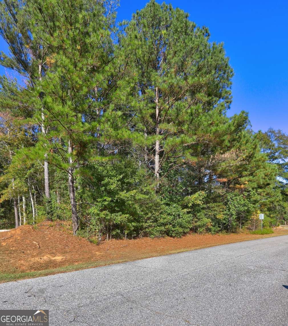 811 Hood Road Fayetteville, GA 30214 - Photo 6 of 15 a view of a field with plants and trees