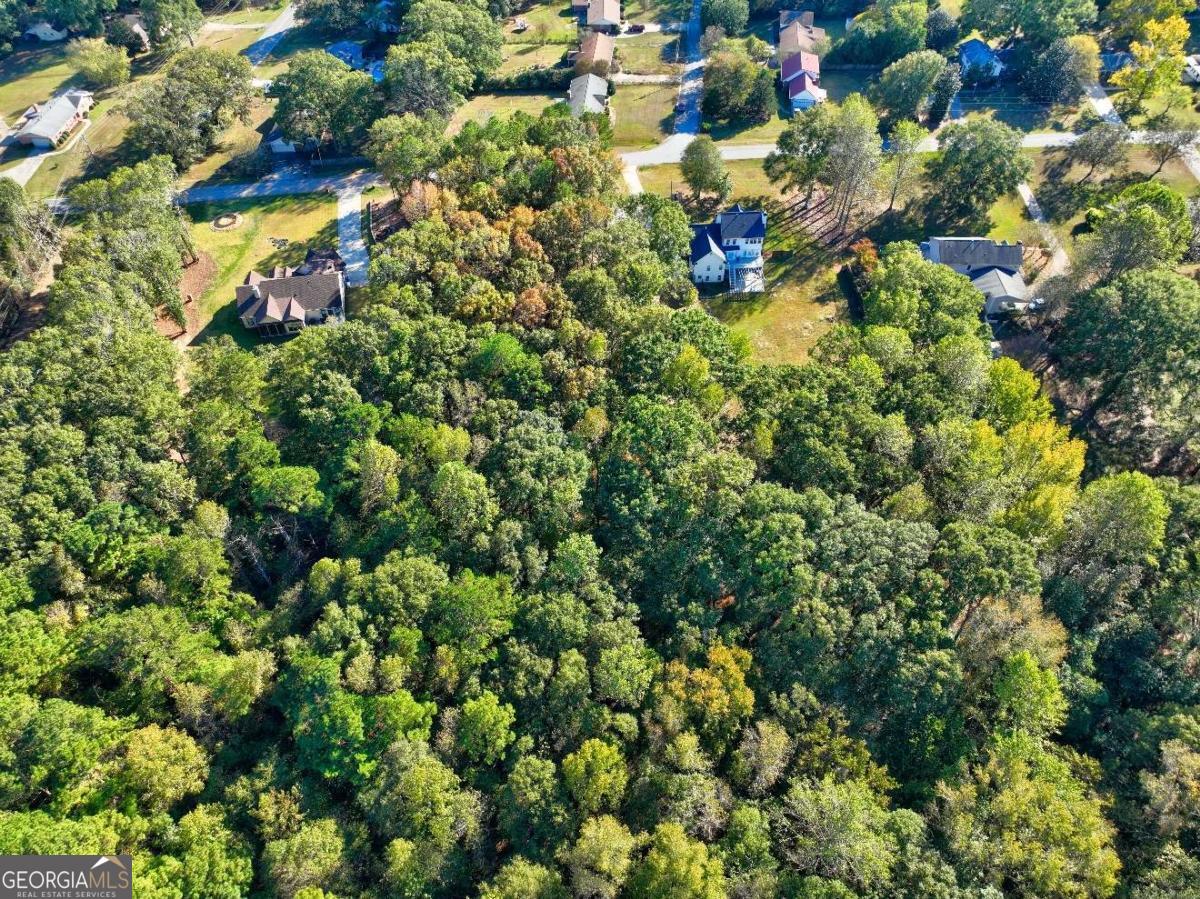 811 Hood Road Fayetteville, GA 30214 - Photo 9 of 15 a view of a bunch of flowers