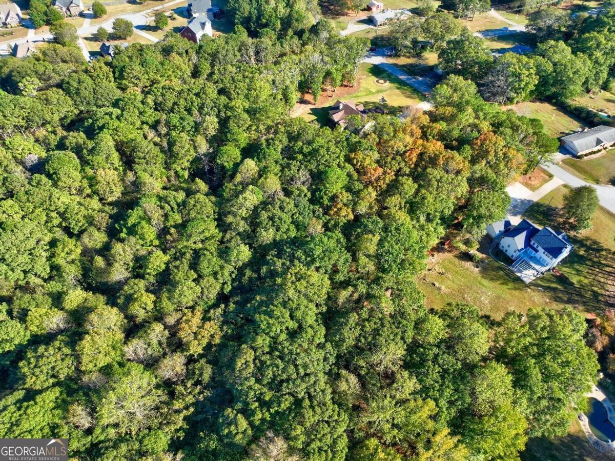 811 Hood Road Fayetteville, GA 30214 - Photo 10 of 15 a view of a tree in a garden