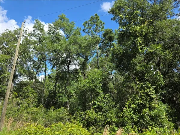 $15,500 | 3669 East Baxley Place, Inverness, FL 34453