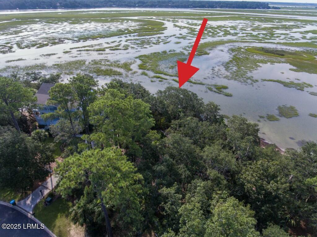 305 De La Gaye Point Beaufort, SC 29902 - Photo 8 of 20 Ever changing views