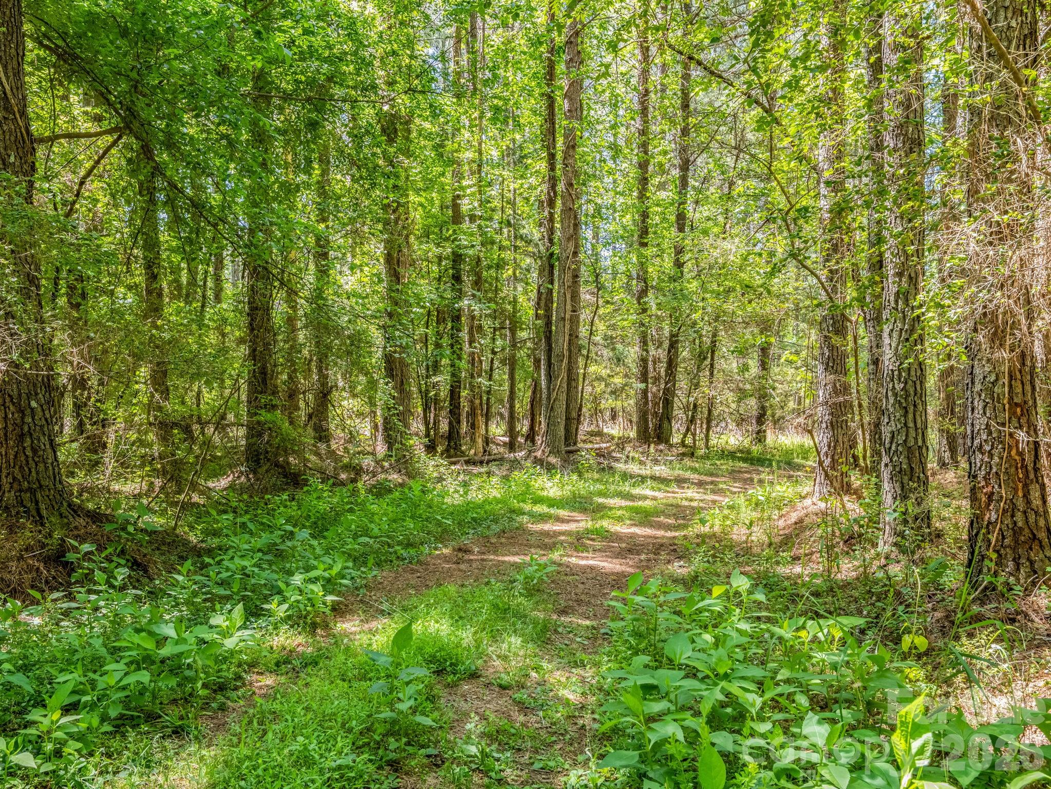 0 Jim Dobbins Road Rutherfordton, NC 28139 - Photo 21 of 39 a view of outdoor space and a yard