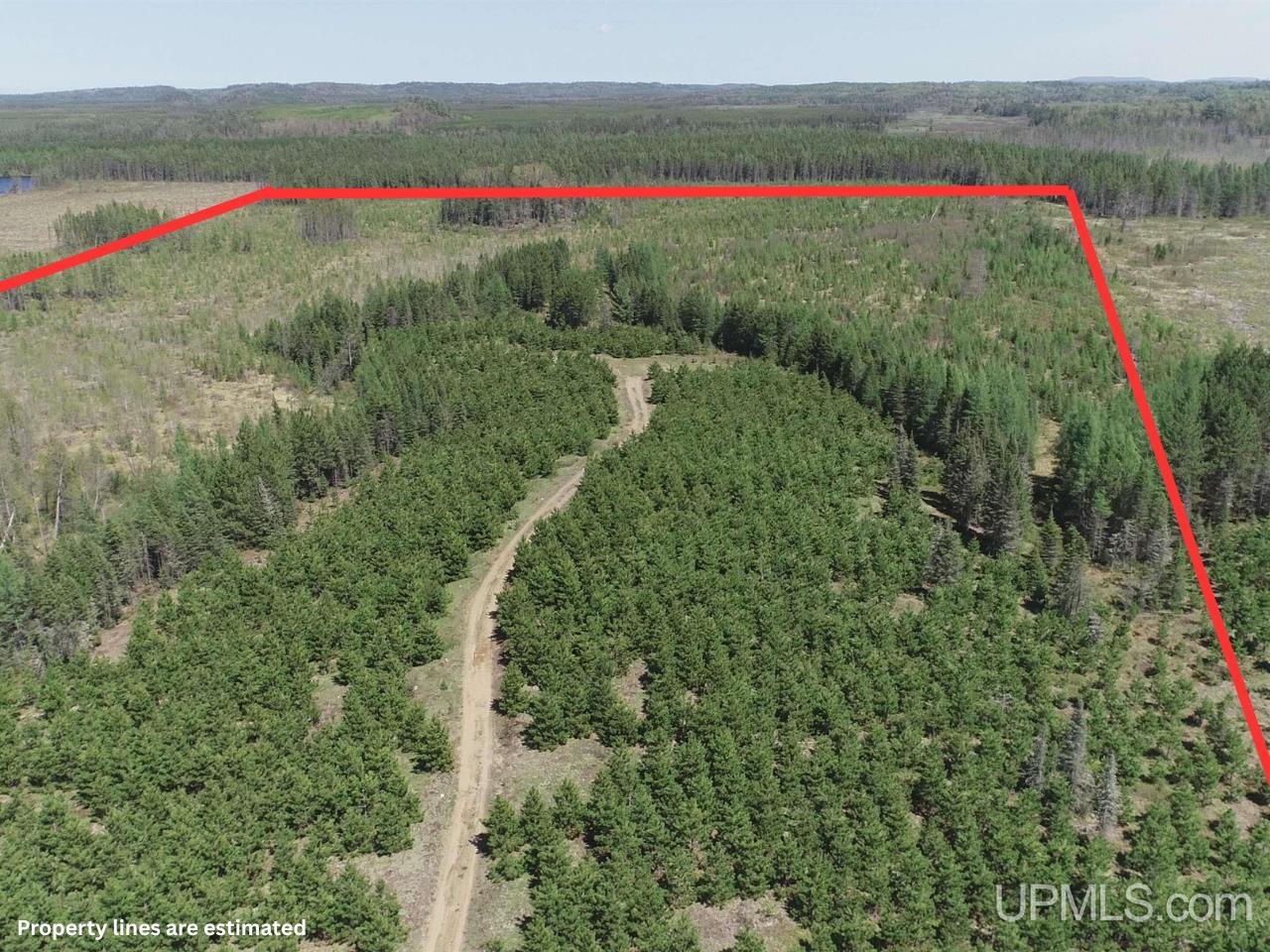 58-acres Co Rd Fn Road Champion, MI 49814 - Photo 3 of 27