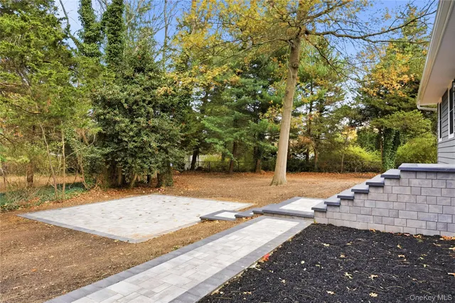 a view of a yard with plants and trees