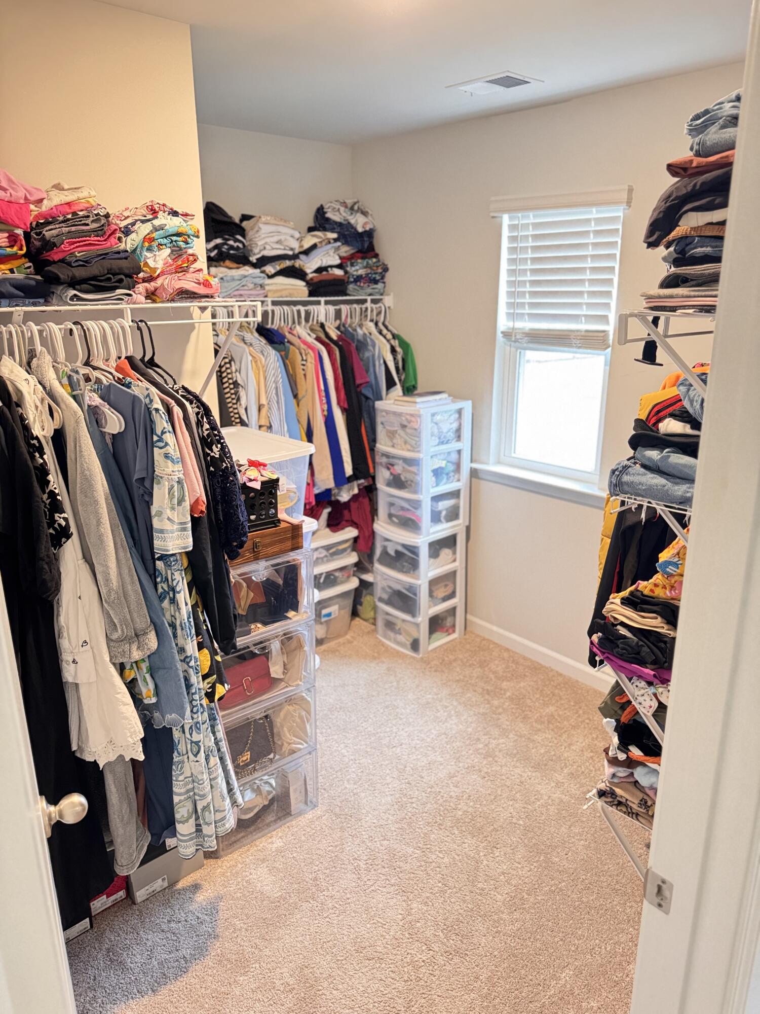 1010 Peridote Way Ladson, SC 29456 - Photo 22 of 36 big walk-in closet