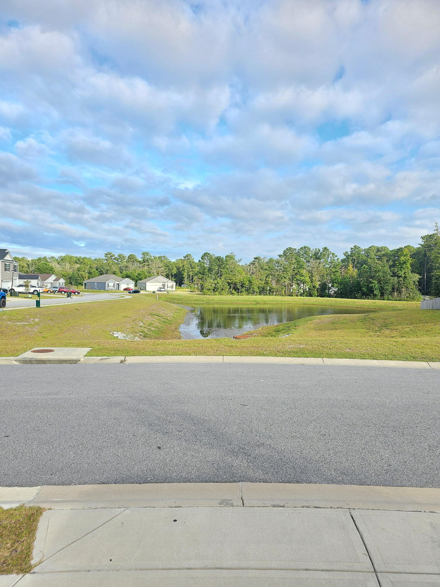 1010 Peridote Way Ladson, SC 29456 - Photo 35 of 36 Pond view