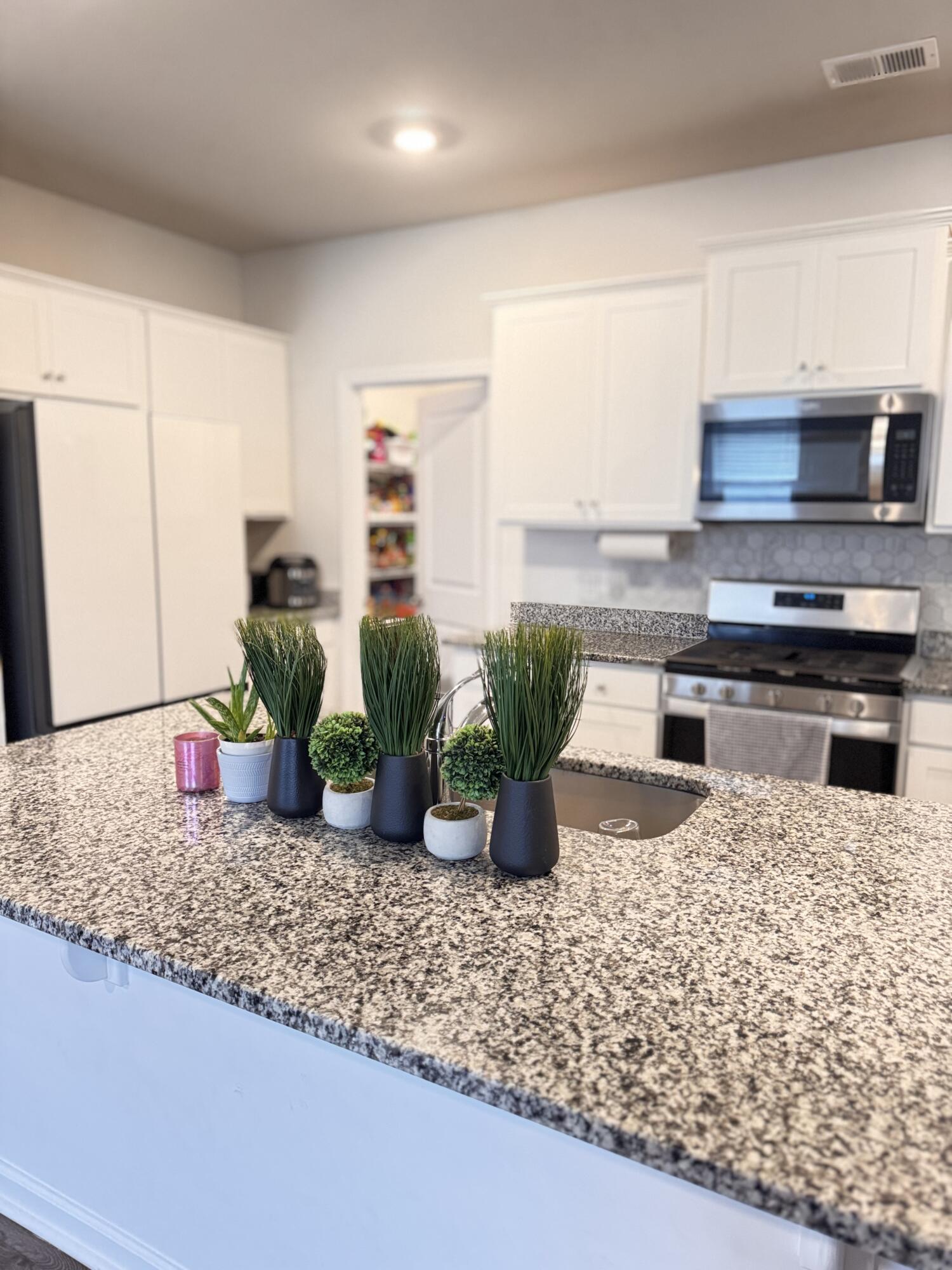 1010 Peridote Way Ladson, SC 29456 - Photo 7 of 36 kitchen island with granite countertops