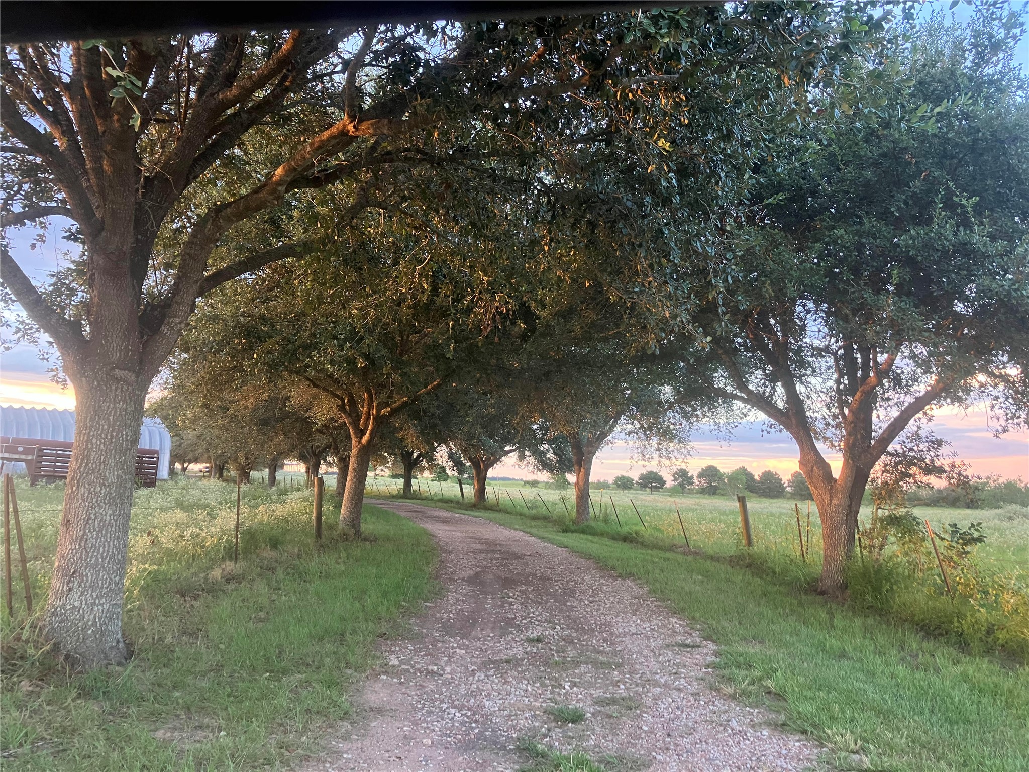 5848 Mieth Road Sealy, TX 77474 - Photo 2 of 25 Private tree lined driveway
