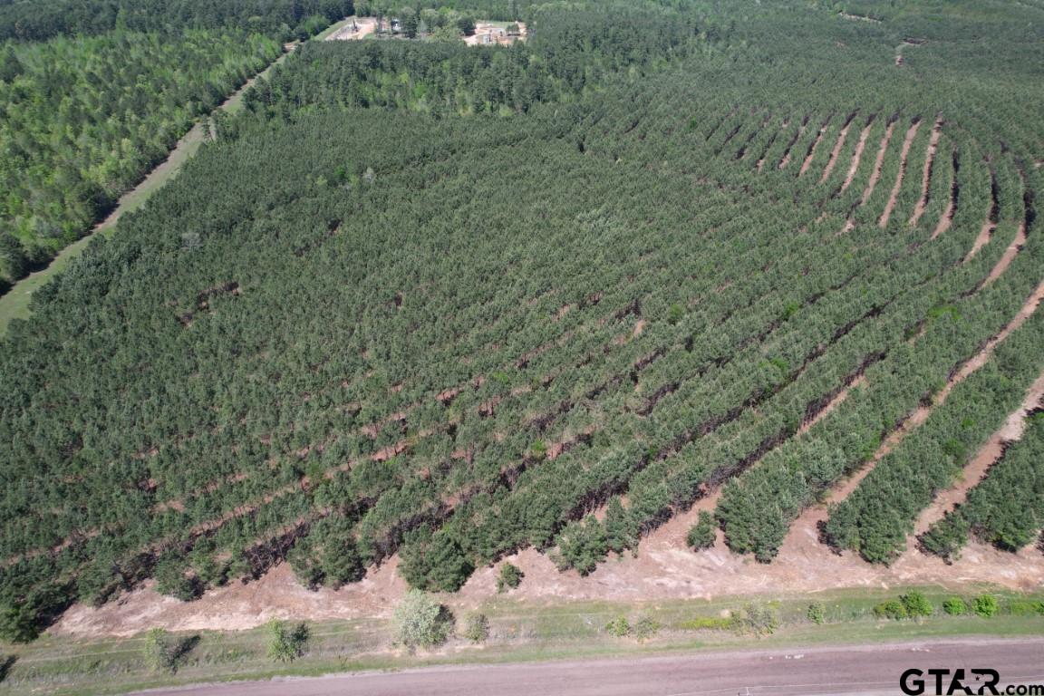 Tbd Lincoln Springs Road Gladewater, TX 75647 - Photo 2 of 13 a view of a yard