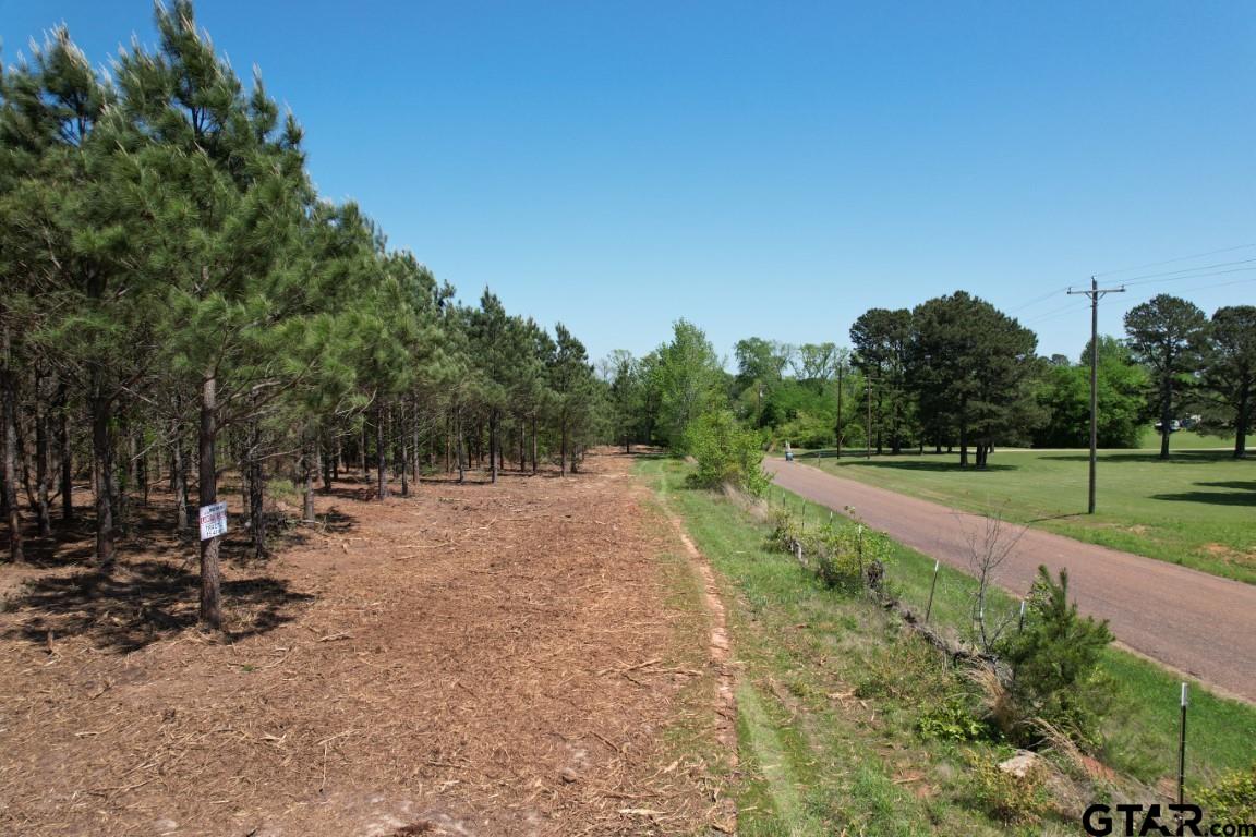 Tbd Lincoln Springs Road Gladewater, TX 75647 - Photo 3 of 13 a view of a yard with a tree