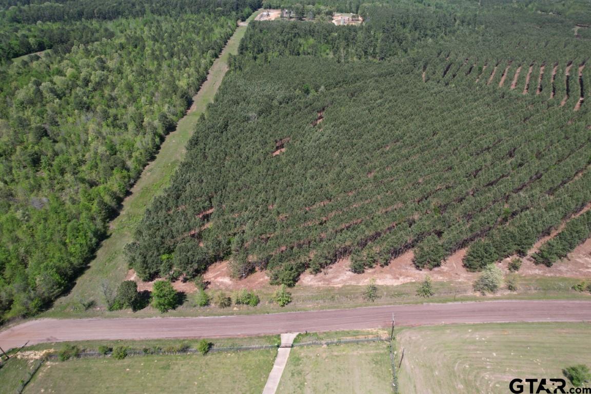Tbd Lincoln Springs Road Gladewater, TX 75647 - Photo 4 of 13 a view of a yard with wooden fence