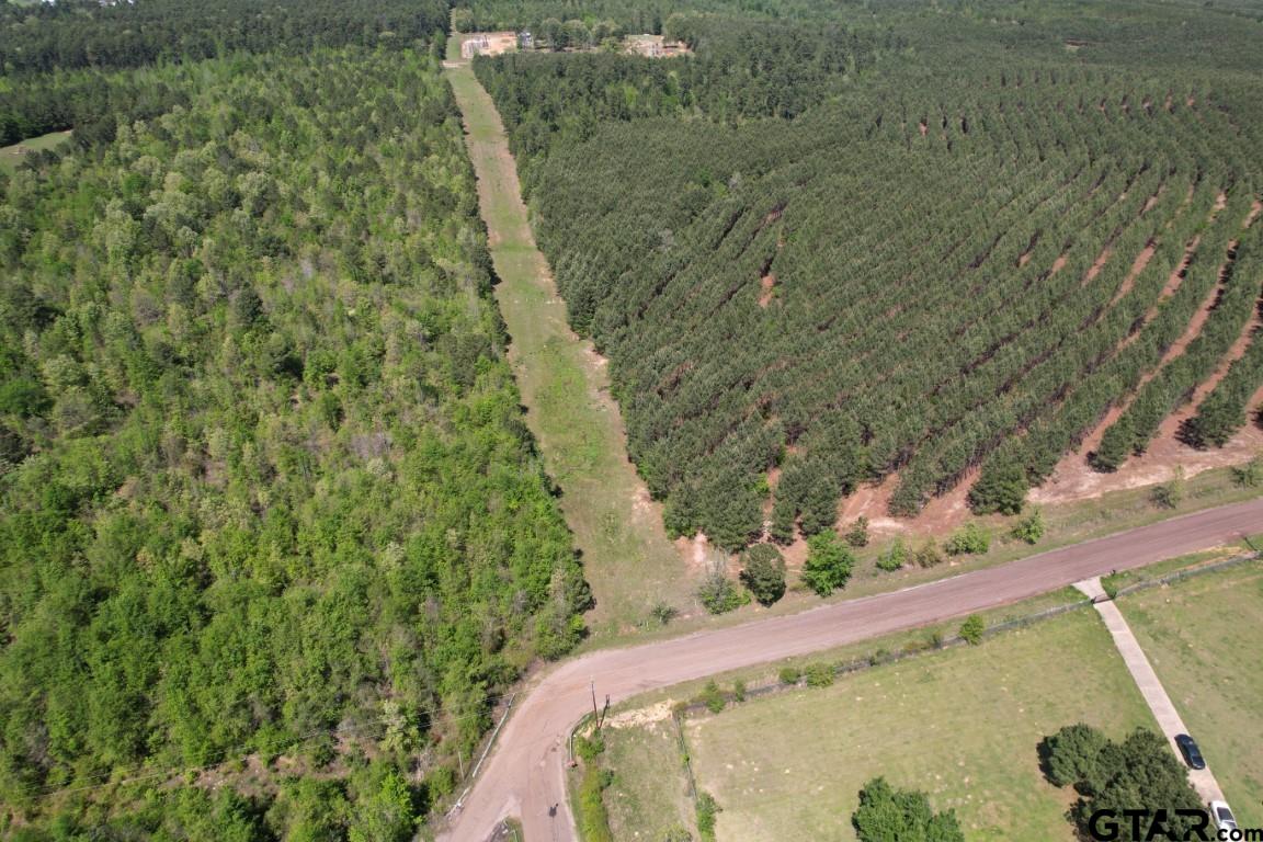 Tbd Lincoln Springs Road Gladewater, TX 75647 - Photo 5 of 13 a view of a yard