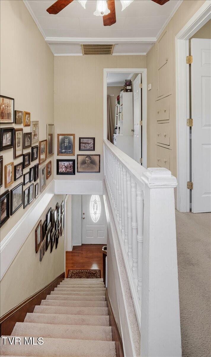 1036 Rittertown Road Hampton, TN 37658 - Photo 37 of 94 57-WBP-Rittertown-Rd-63