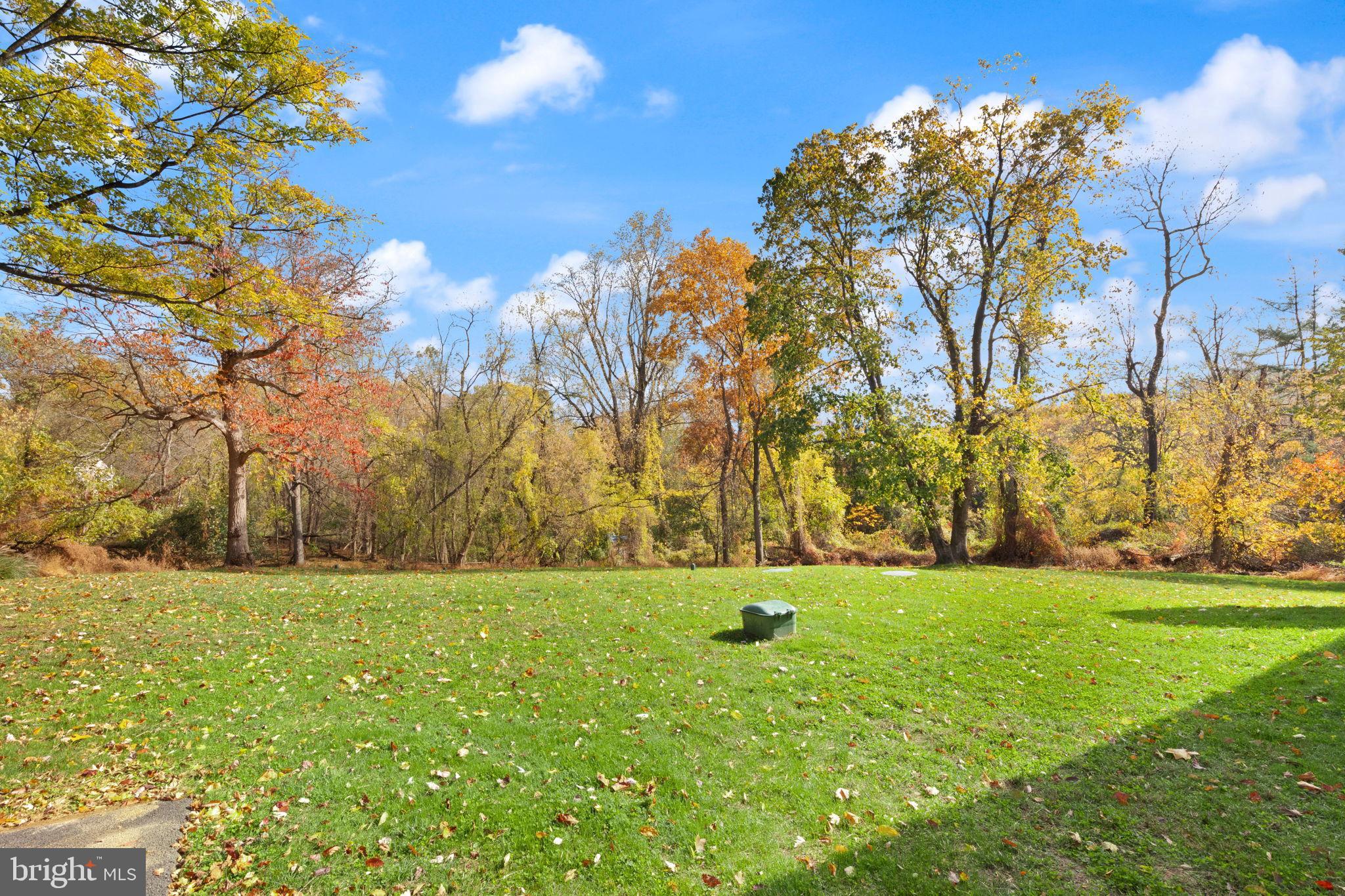 424 Osage Road Cockeysville, MD 21030 - Photo 45 of 52 a view of a tree in a yard
