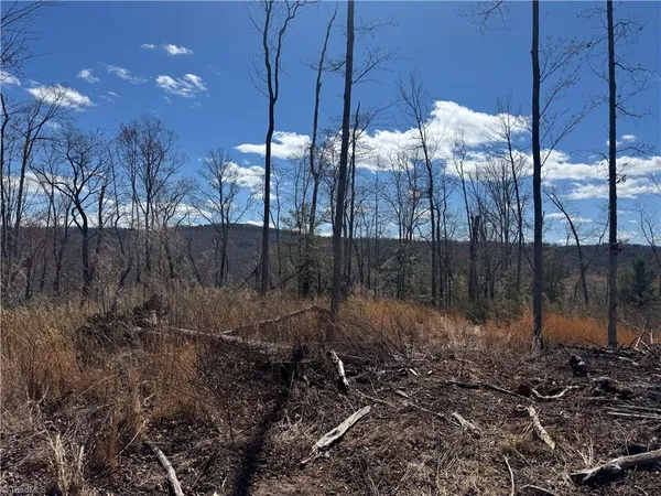 $110,000 | 0 Billings Hill Church Road, Traphill, NC 28685