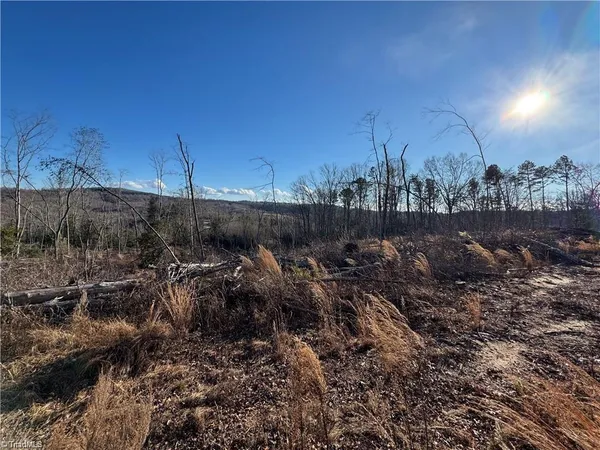 $110,000 | 0 Billings Hill Church Road, Traphill, NC 28685