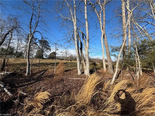 $110,000 | 0 Billings Hill Church Road, Traphill, NC 28685