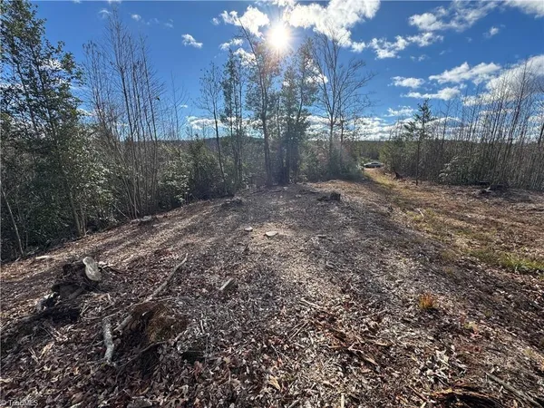 $110,000 | 0 Billings Hill Church Road, Traphill, NC 28685