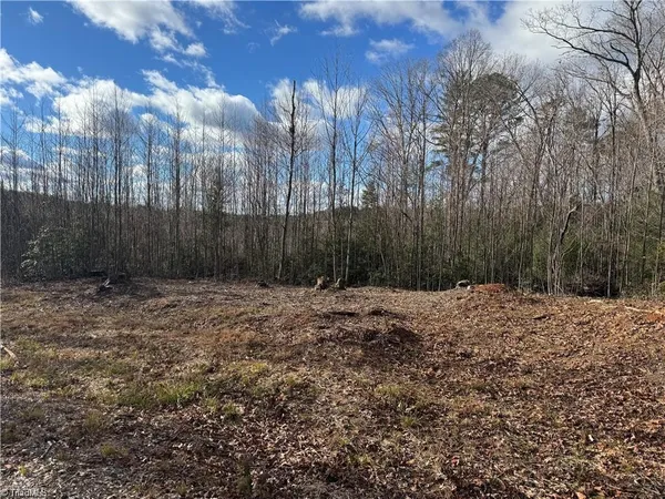 $110,000 | 0 Billings Hill Church Road, Traphill, NC 28685